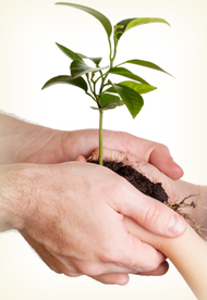 Trustee for group insurance industry Trustee for group insurance industry